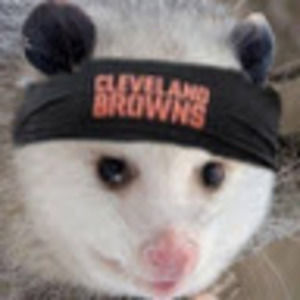 Meet your Posher, Eli